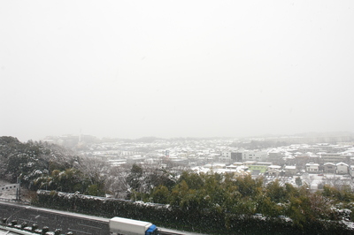 2008-2-3雪