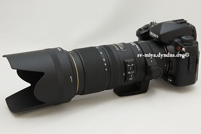 SIGMA SIGMA EX HSM APO 70-200mm F2.8 D(レンズ)-